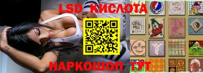 spice Моздок