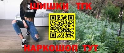 spice Моздок
