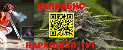 spice Моздок